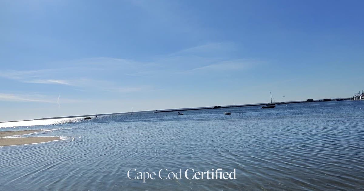 Provincetown Harbor Beach (West End) landscape