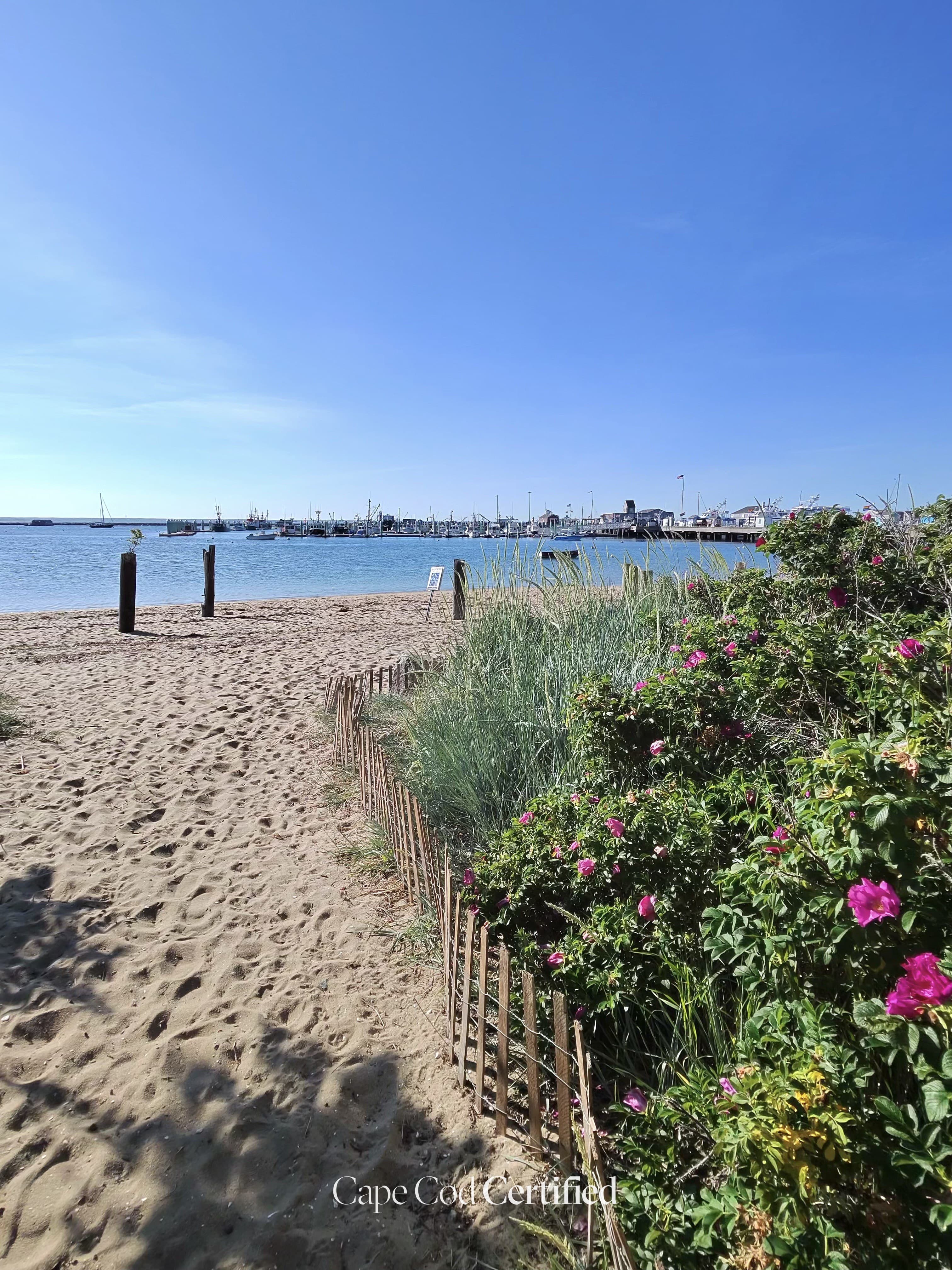 Provincetown landscape