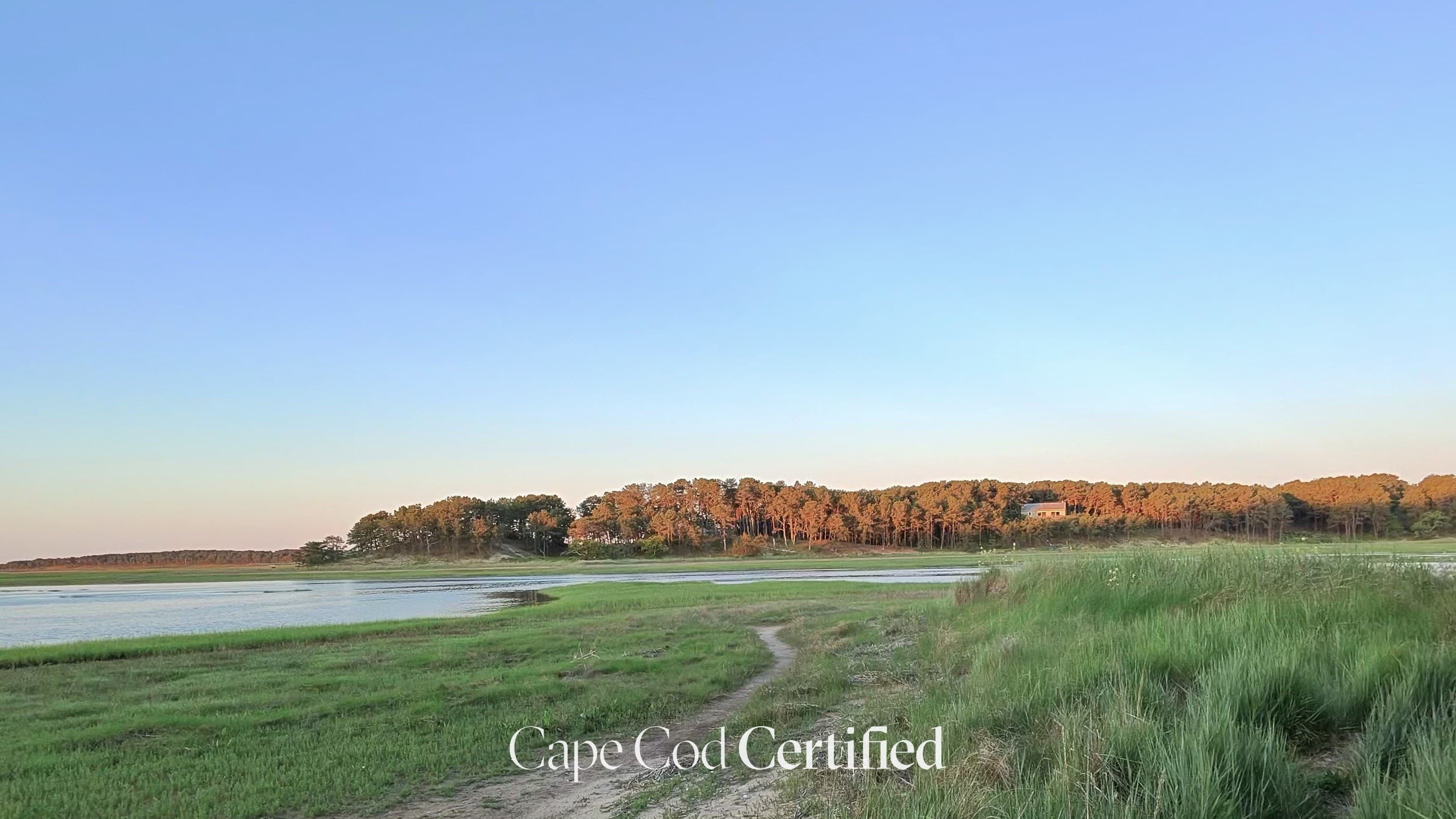 Wellfleet landscape