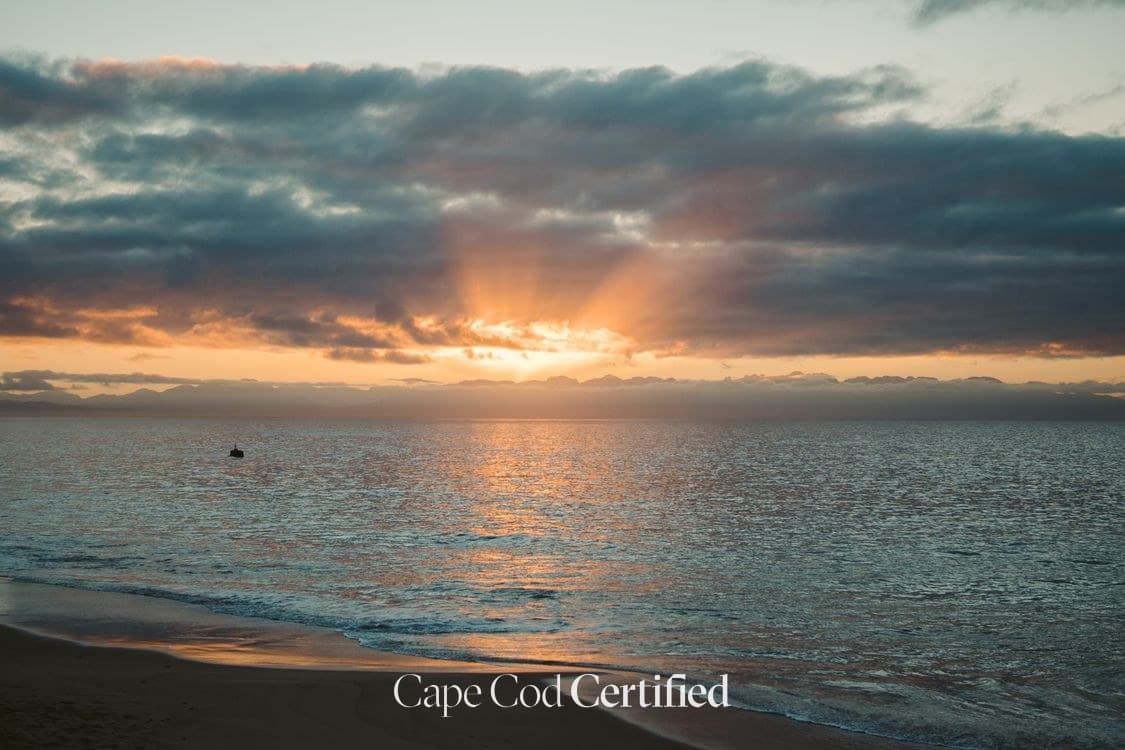 Rainy Day on Cape Cod? 20 Things That Are Actually Worth Doing