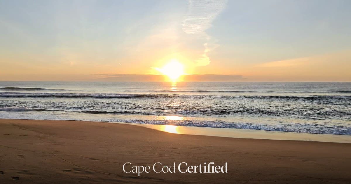 The Cape Cod Canal Cheat Sheet: How to Read Breaking Tides and Fish the Right 4 Hours