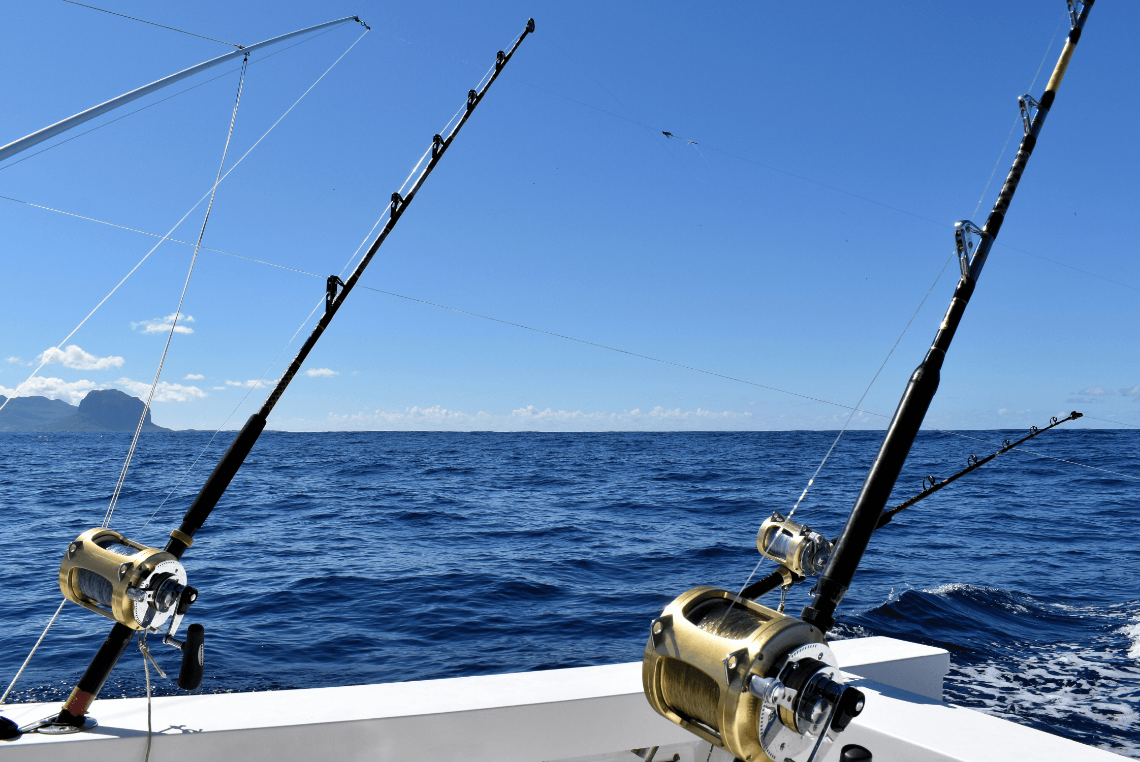 Nantucket Shoals Fluke