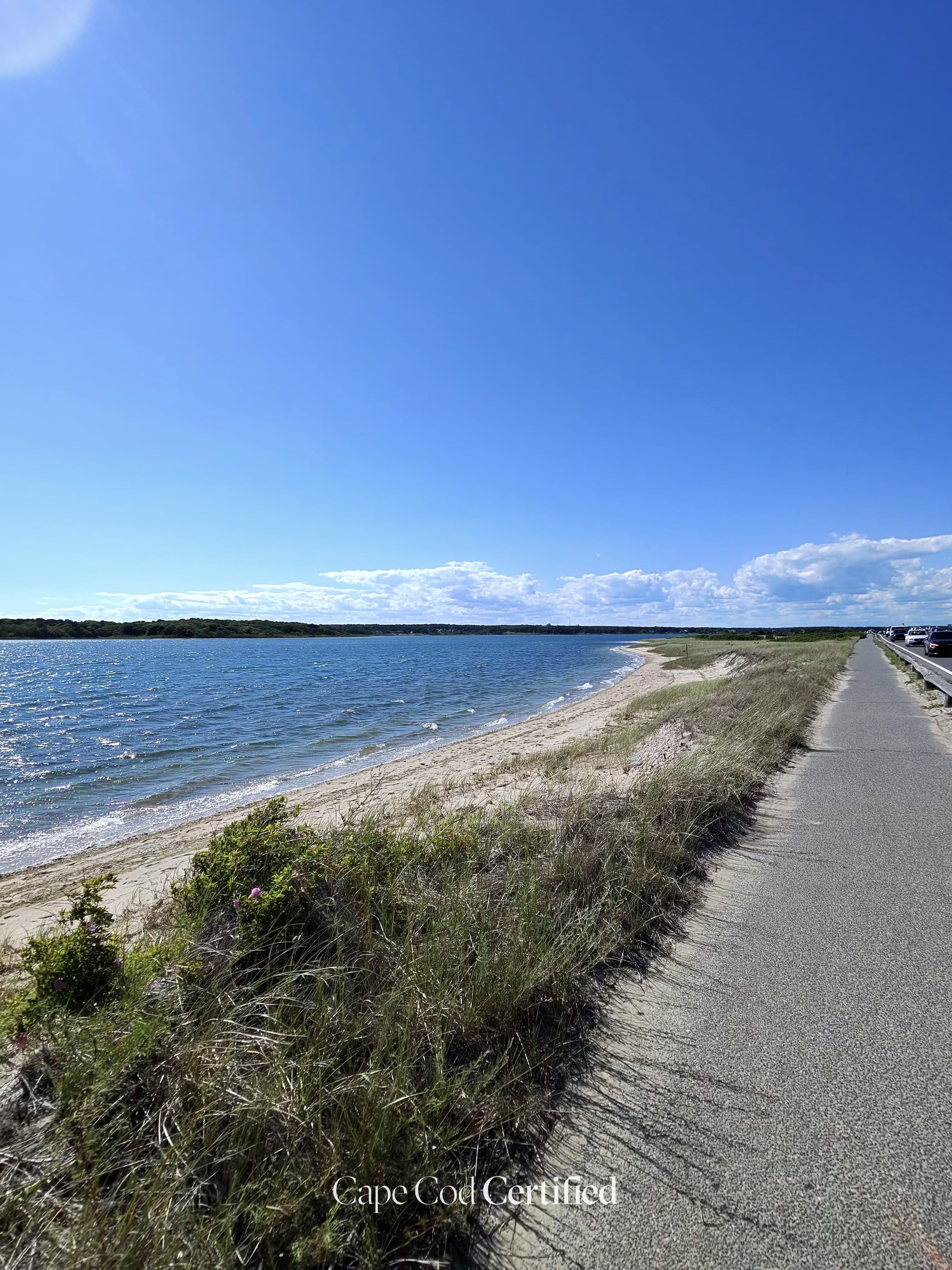 Car-Free Family Day Trip to Martha's Vineyard (Bike + Ferry from Woods Hole)