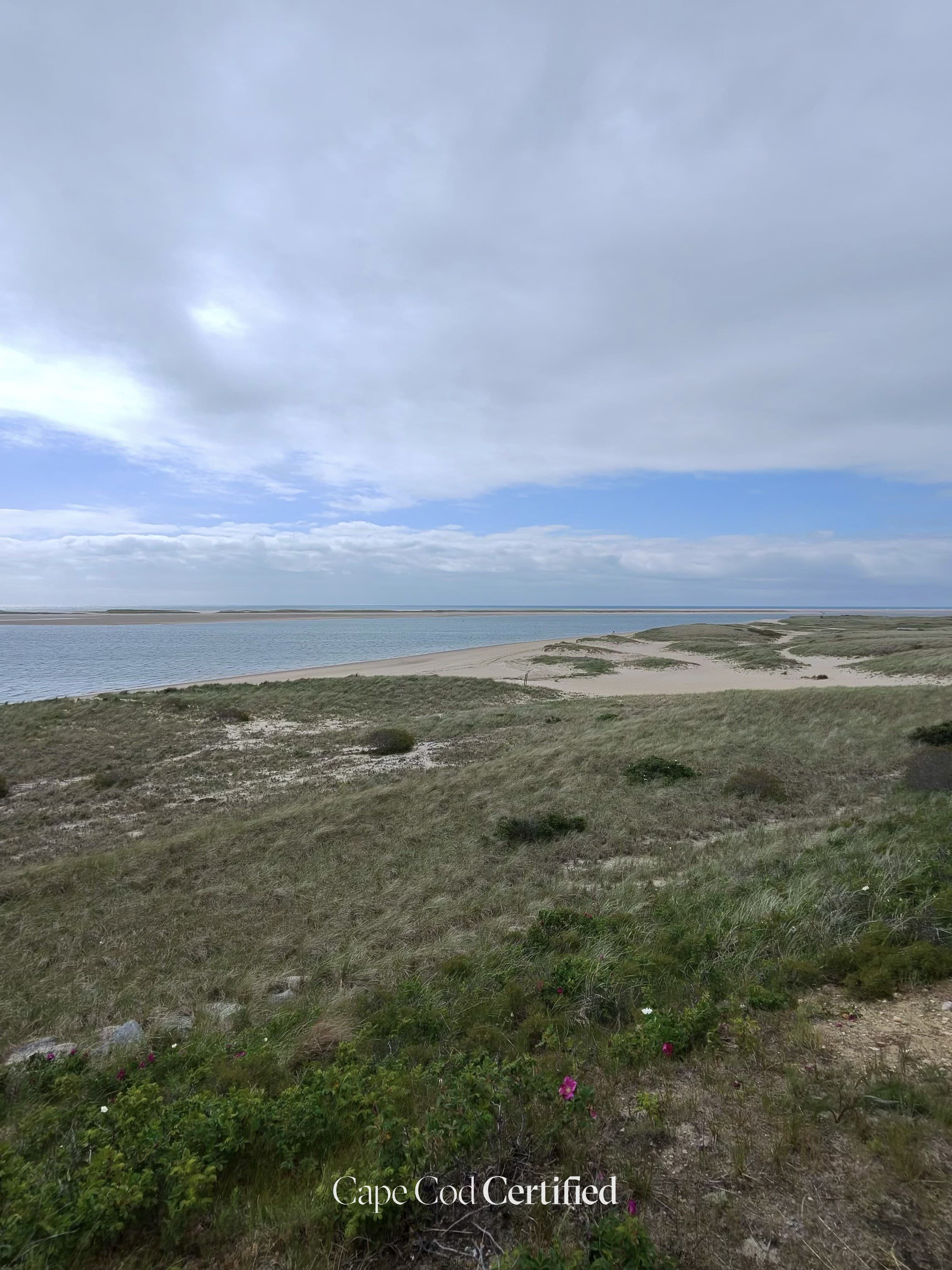 Oyster Pond Beach landscape