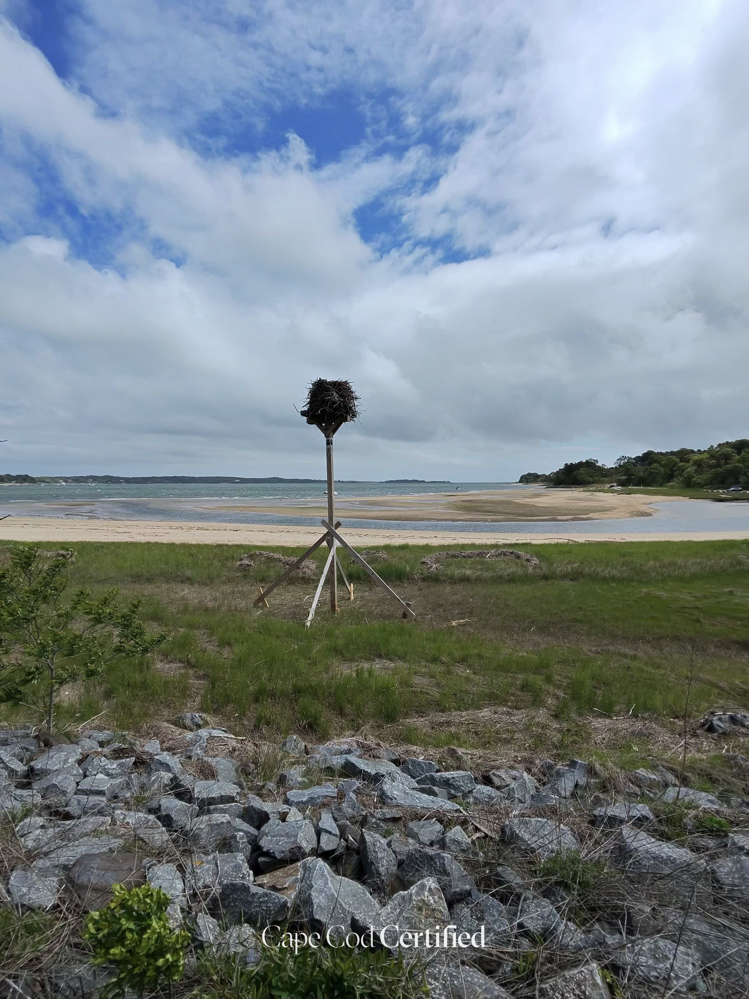 Jackknife Harbor Beach (Pleasant Bay) landscape