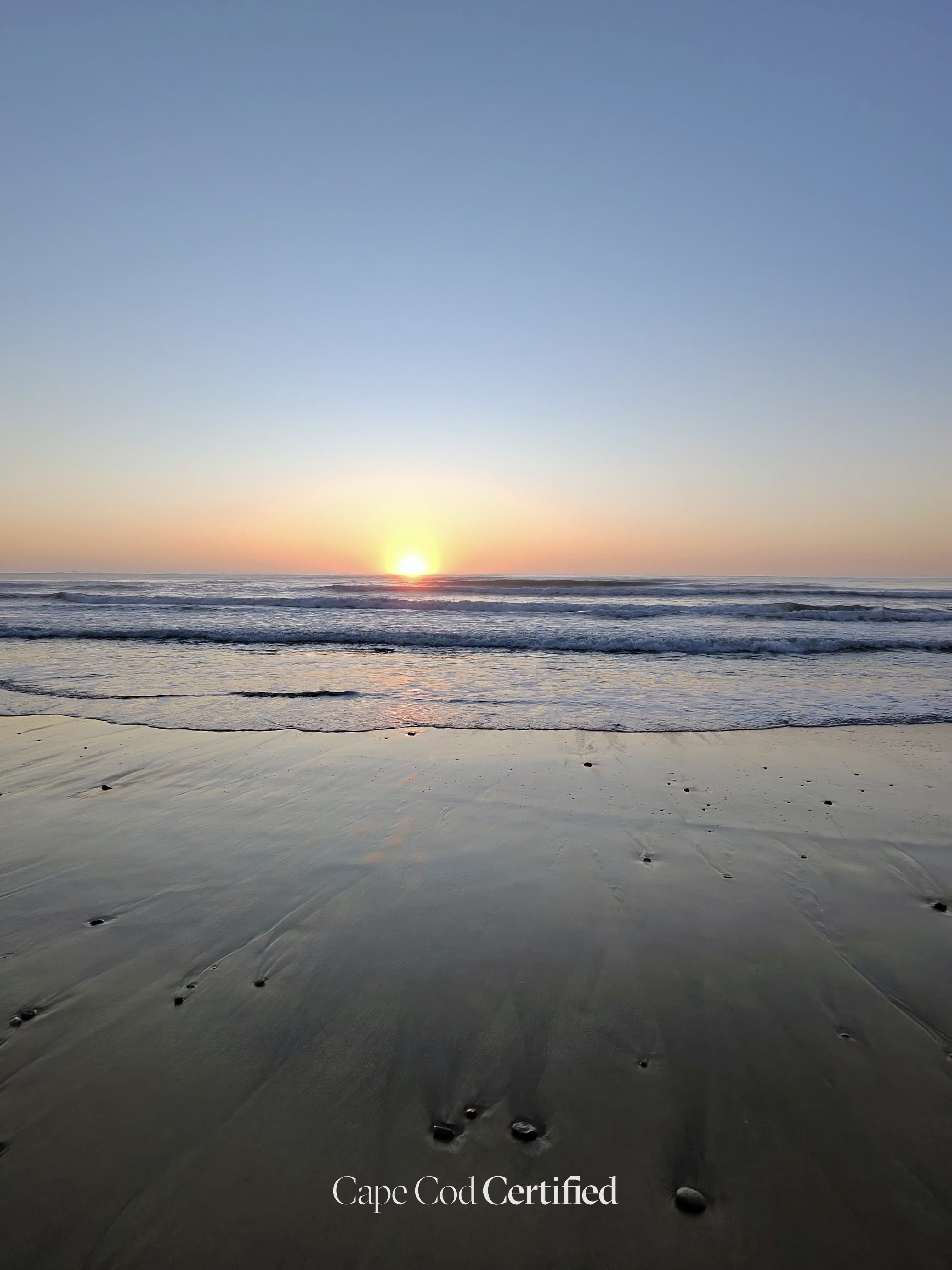 Coast Guard Beach landscape