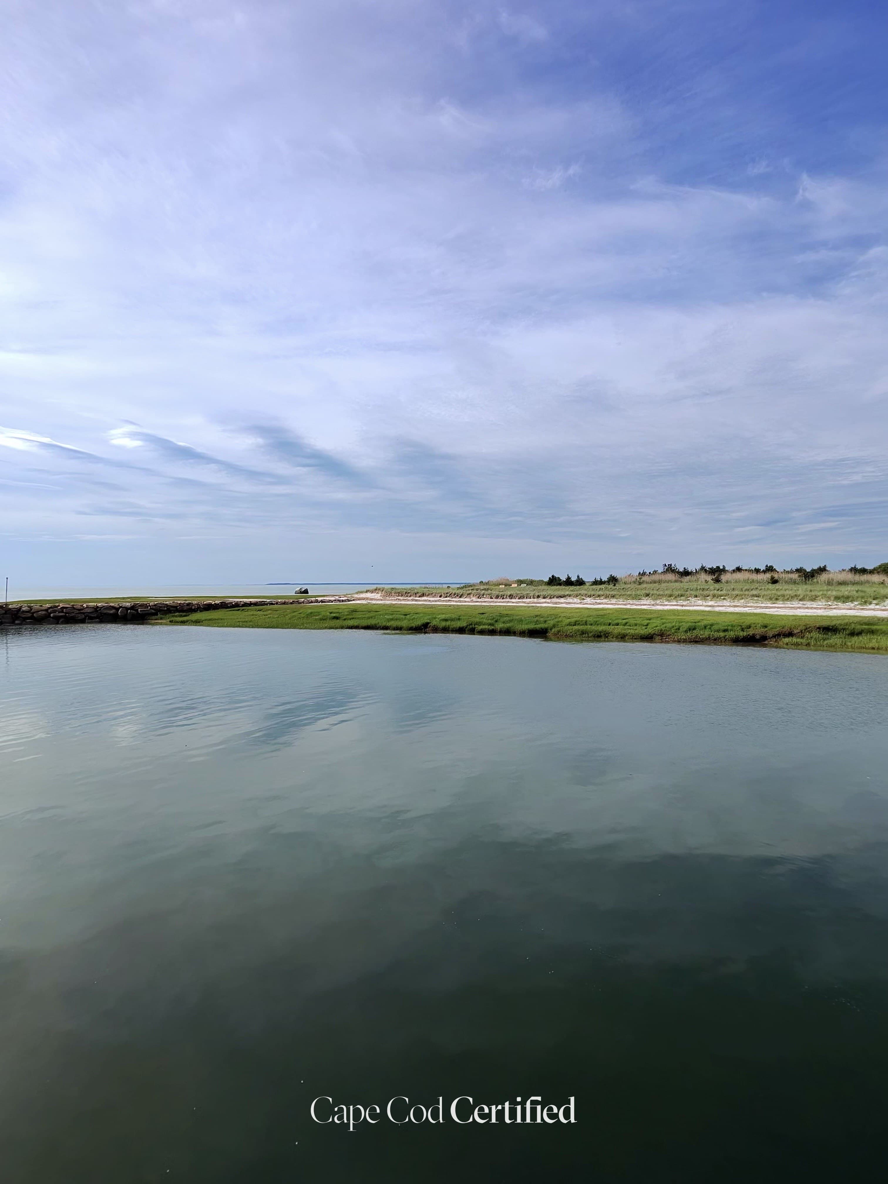 Rock Harbor landscape