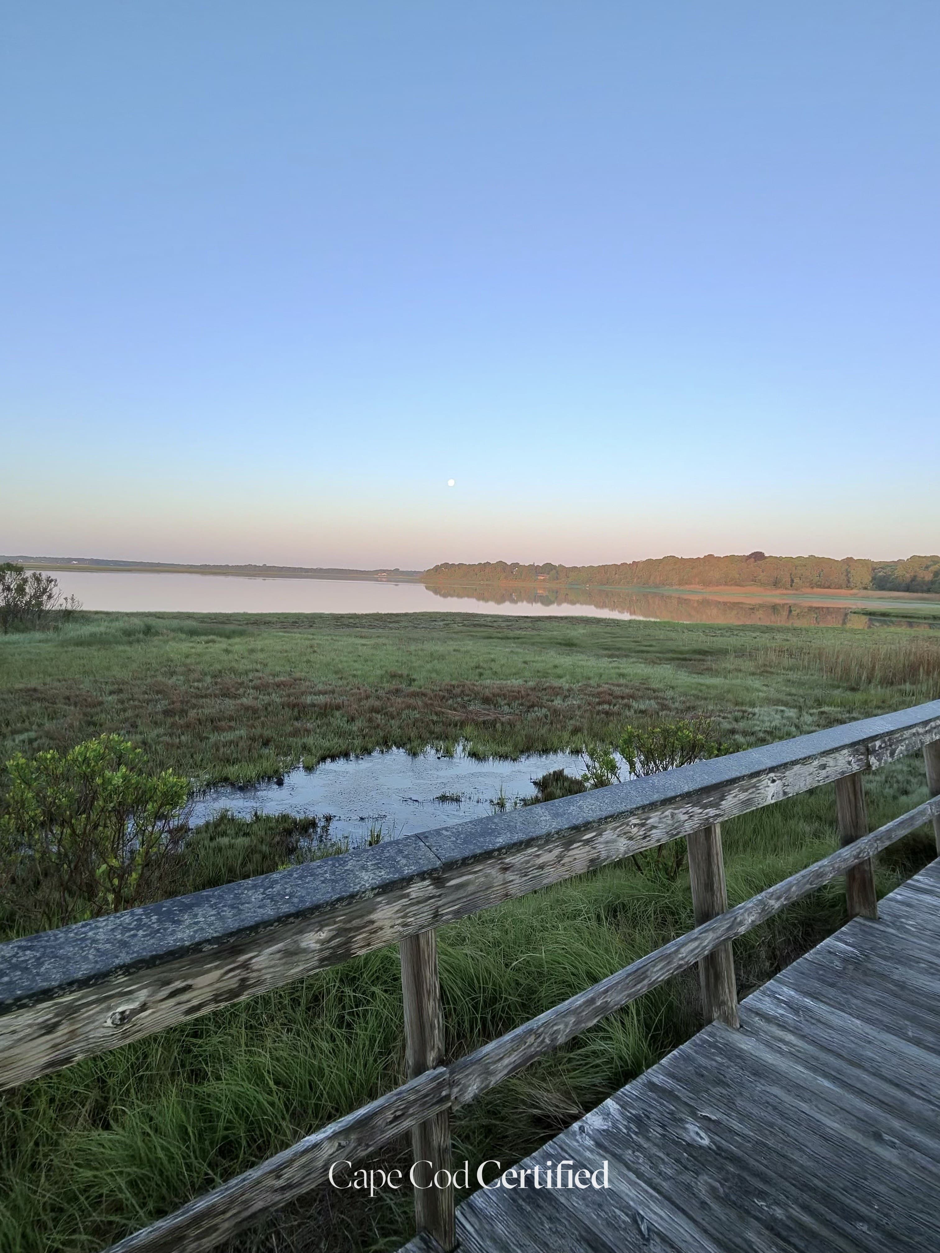 Nauset Marsh Trail landscape