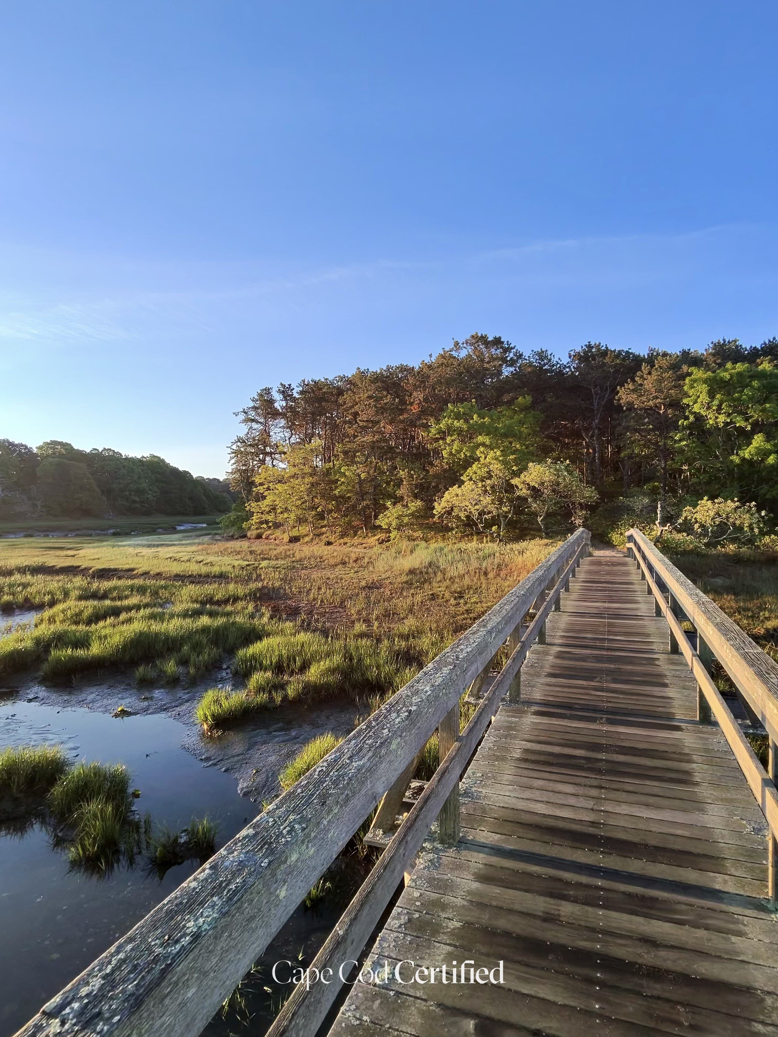 Great Island Trail landscape