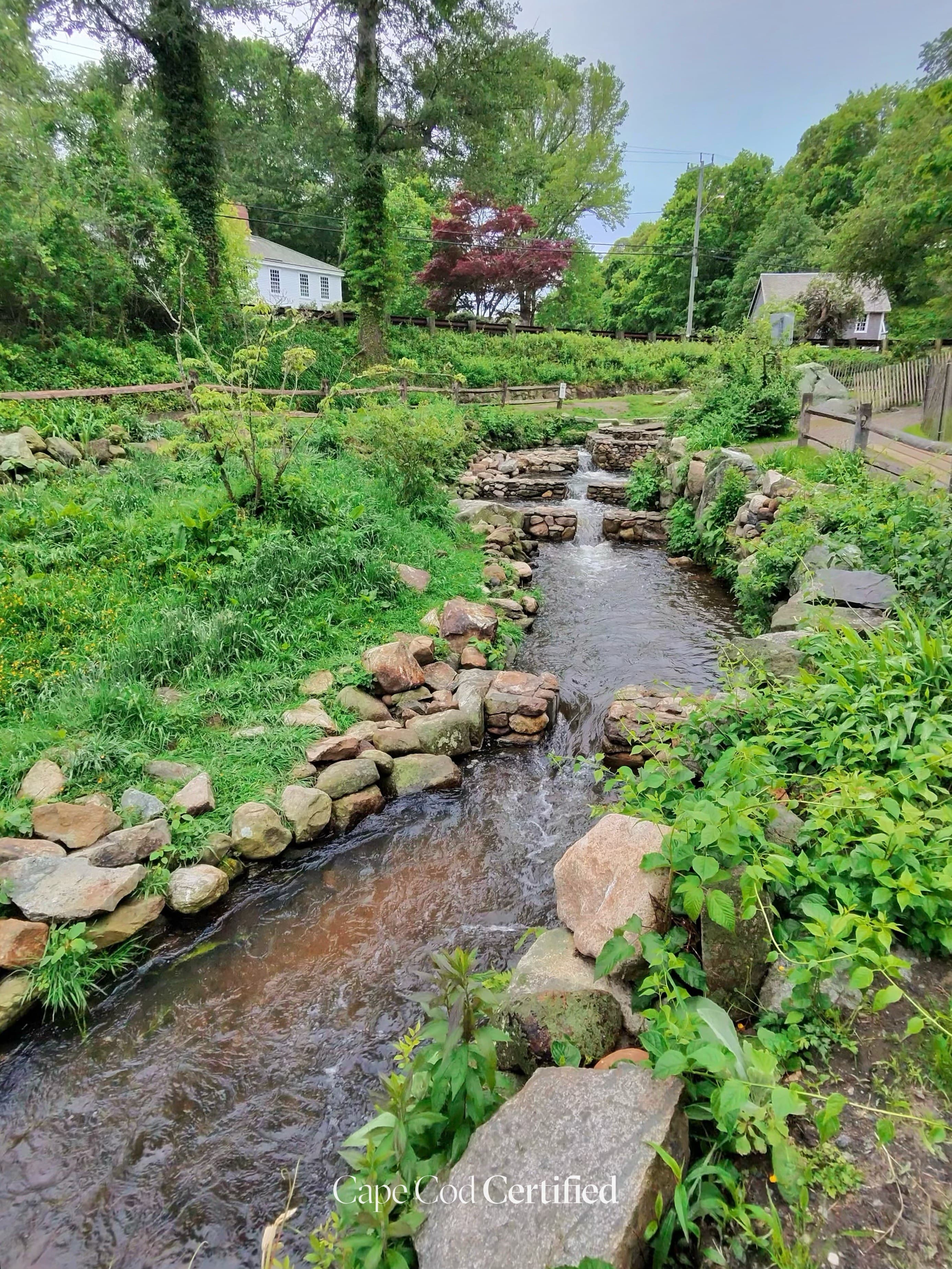 Stony Brook Herring Run & Grist Mill Walk landscape