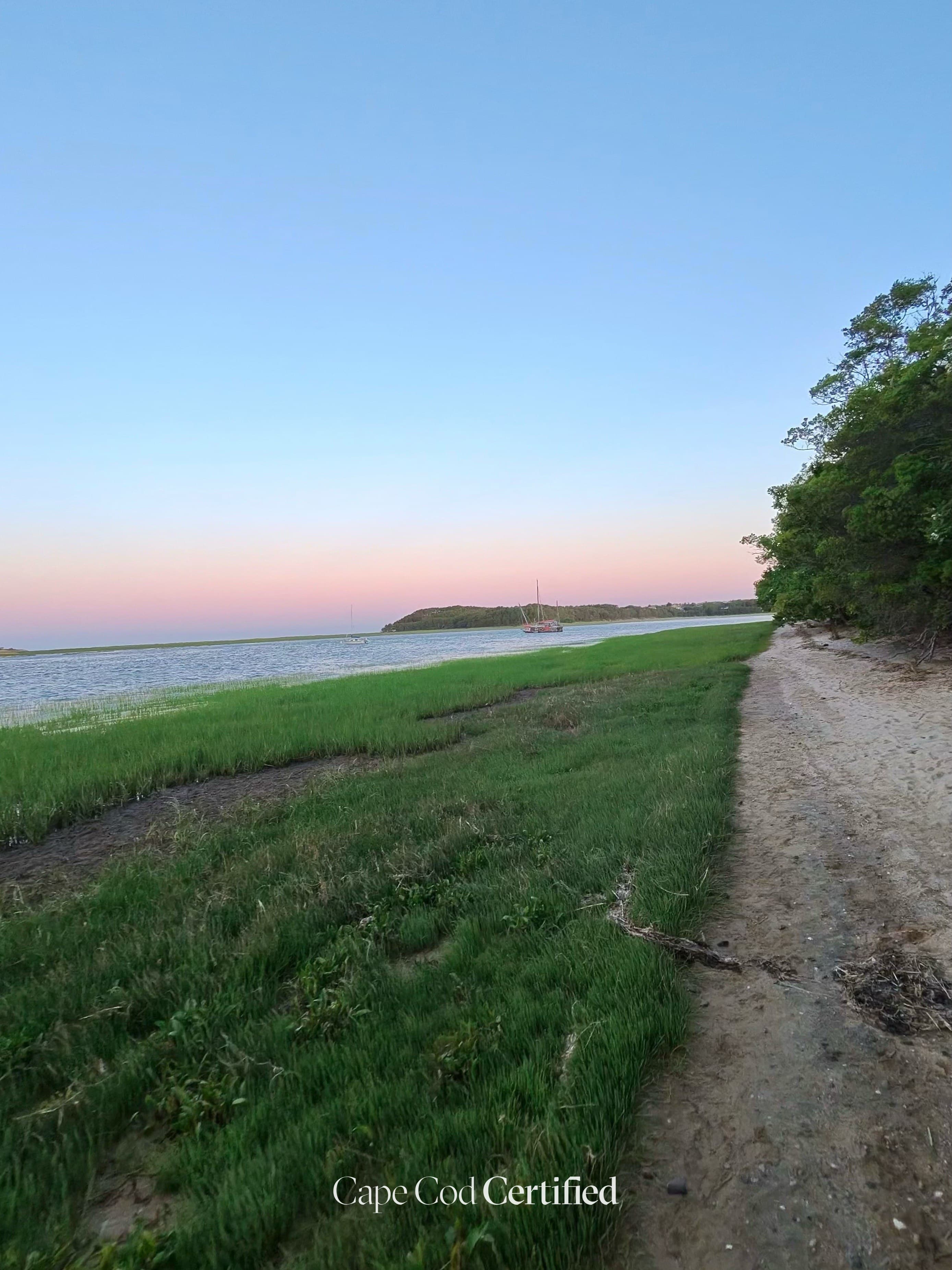 Wellfleet Bay Wildlife Sanctuary Trails landscape