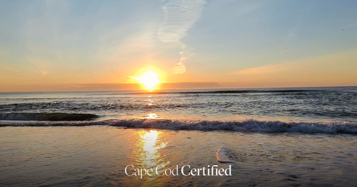 Best Bed & Breakfasts on Cape Cod: Certified Stays Worth Booking Direct