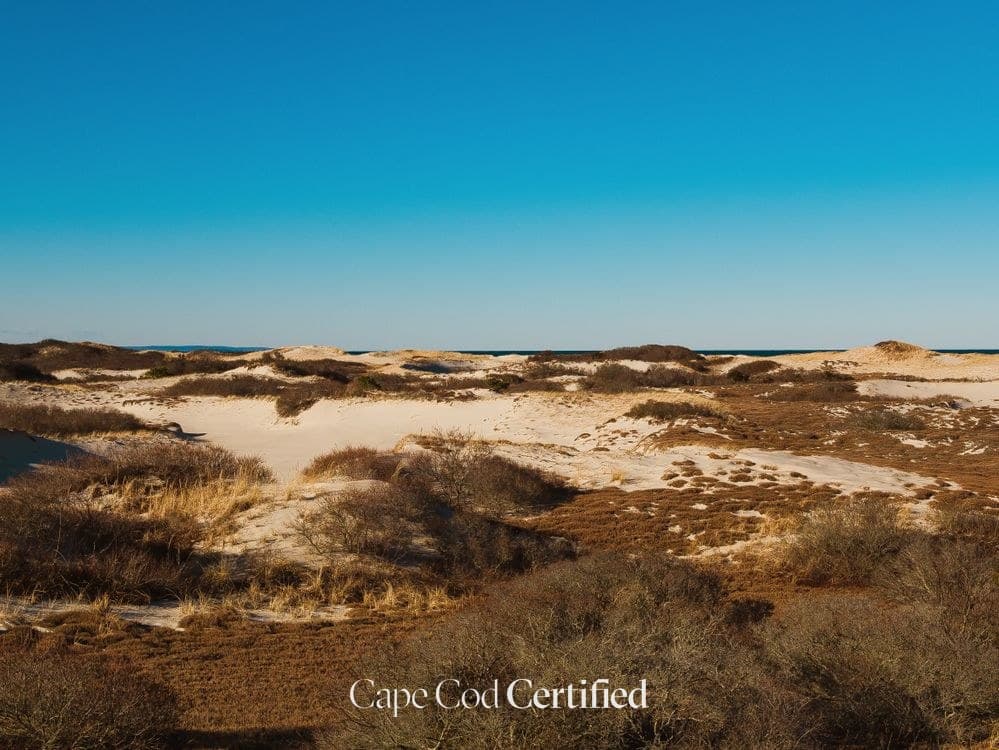 A Perfect Day in Mashpee, Cape Cod: Wampanoag Heritage, Commons & South Cape Beach