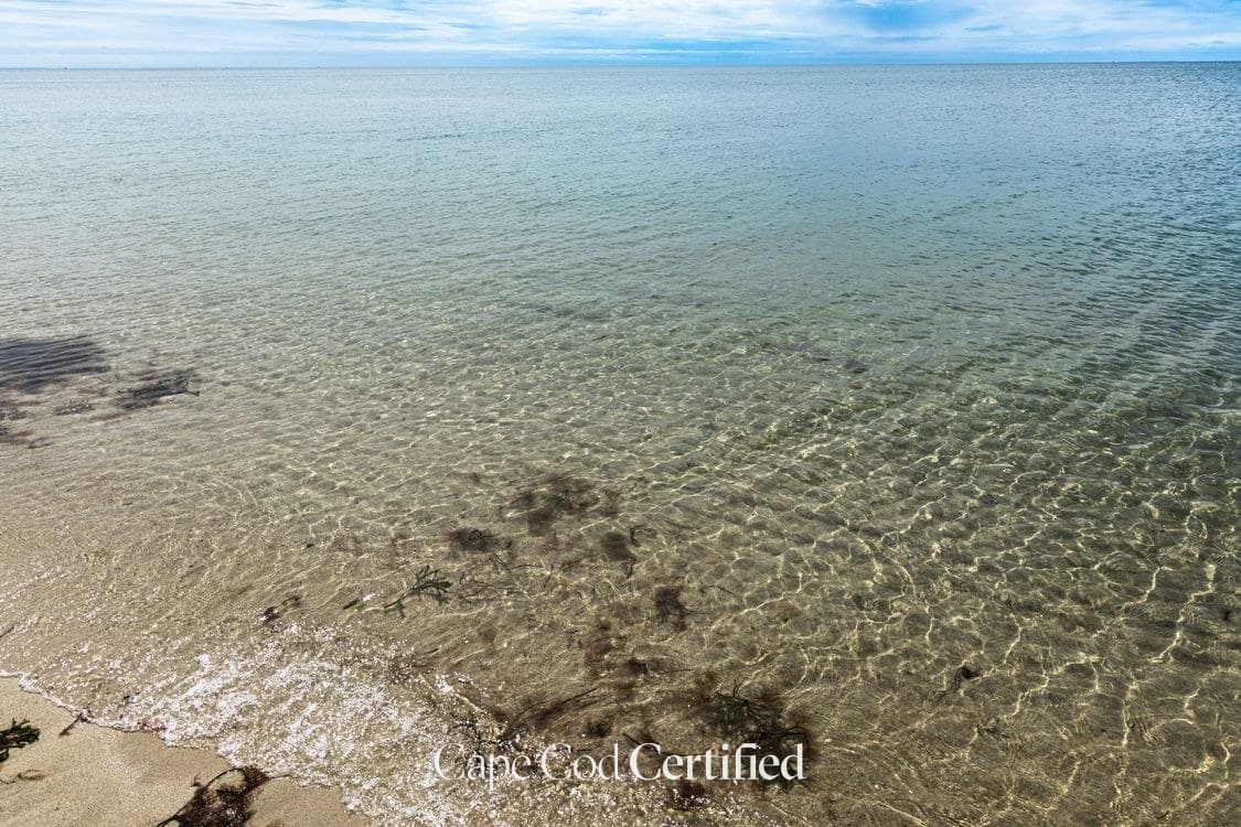 A Perfect Day in Wellfleet, Cape Cod: Oysters, Drive-In & the Outer Cape's Jewel