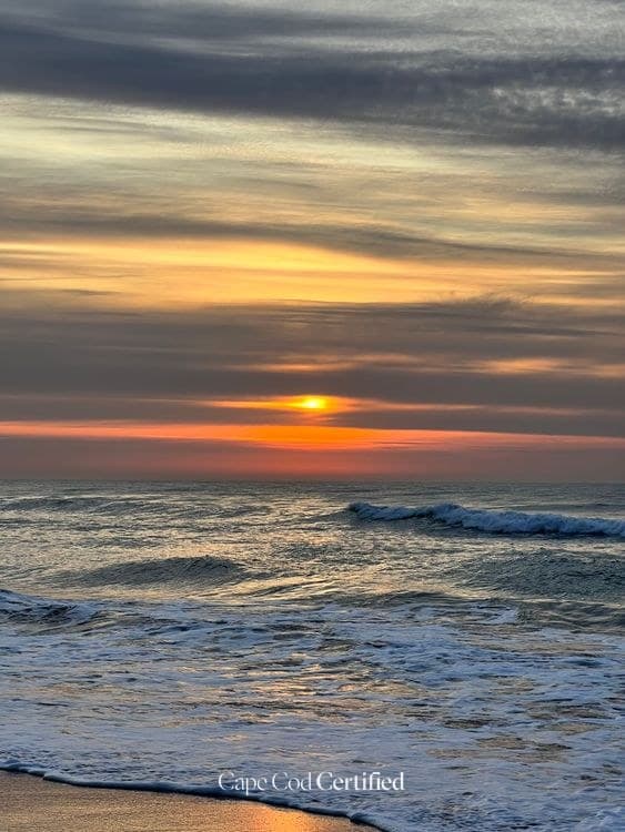Free Cape Cod Family Day: Splash Pad to Tidal Creek Paddle