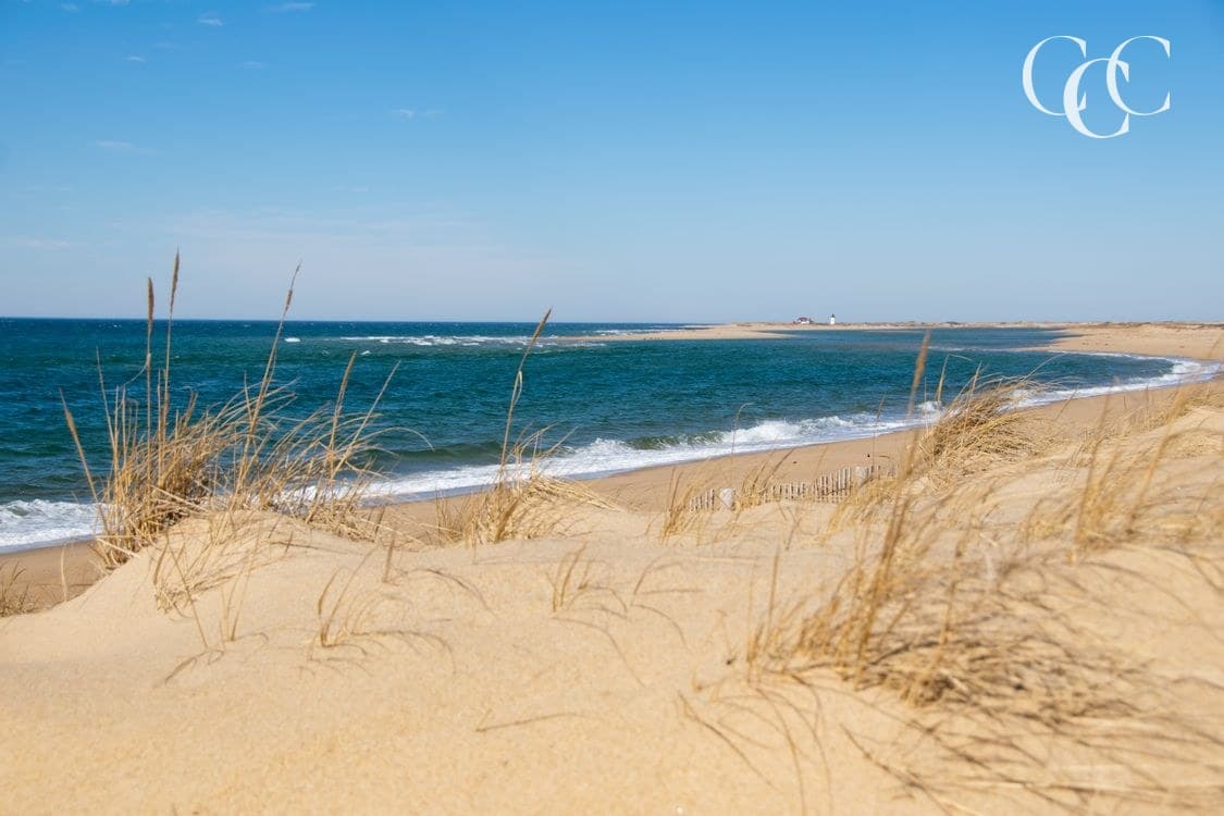 A Perfect Day in Provincetown, Cape Cod: Whales, Art, Commerce Street & Land's End