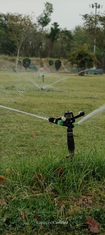 The Biggest Mistakes Cape Cod Landscaping & Lawn Care Pros Make (And How to Avoid Them)