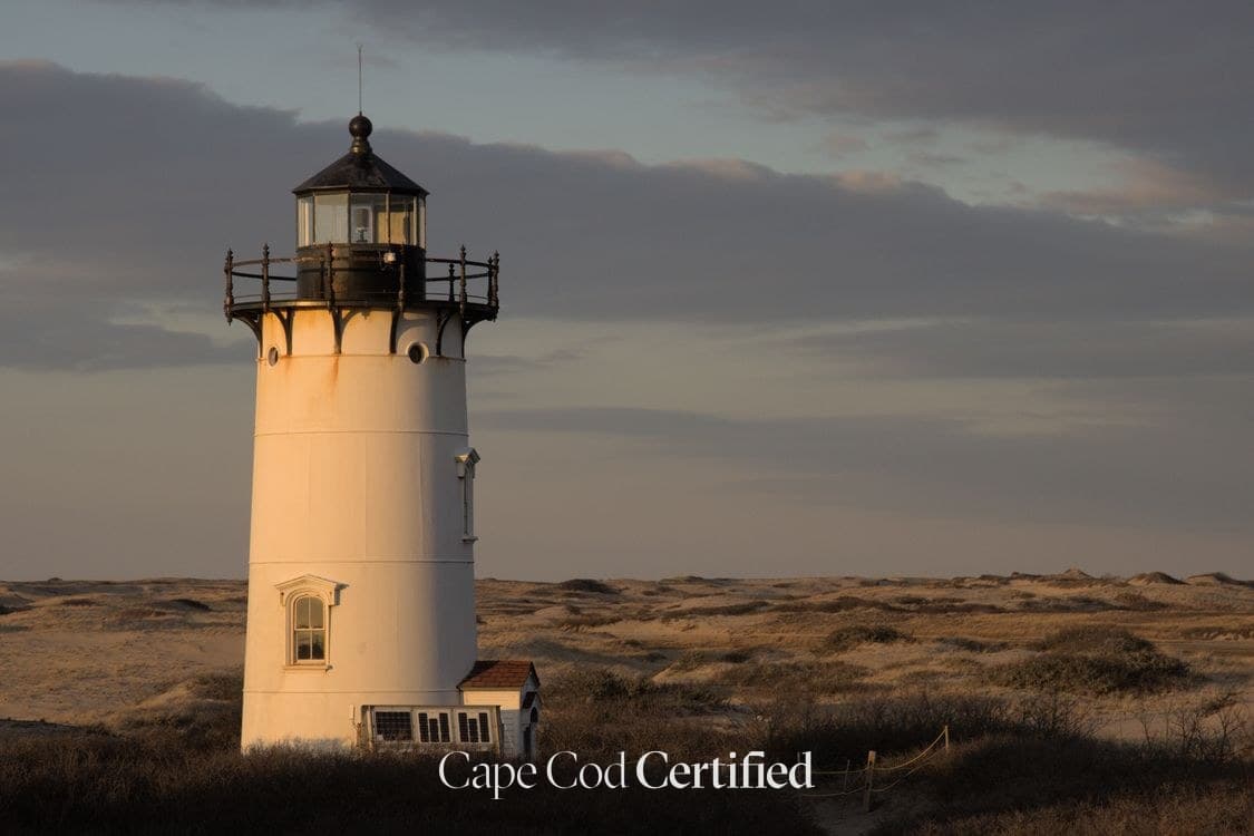 A Perfect Day in Falmouth, Cape Cod: Beaches, Vineyard Ferry & Local Eats