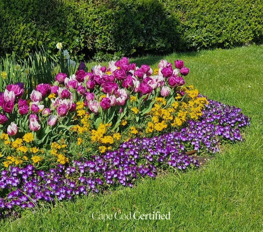 Customer Service & Reputation for Cape Cod Landscaping Pros: A Field Playbook