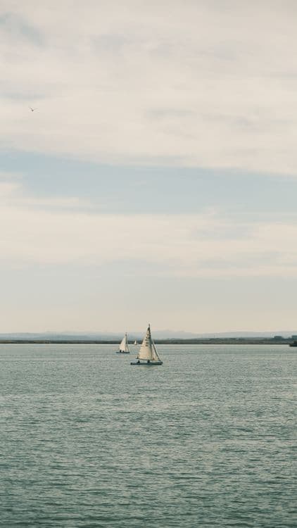 Hyannis: Live Music Sunset Cruise with Ted Wyman