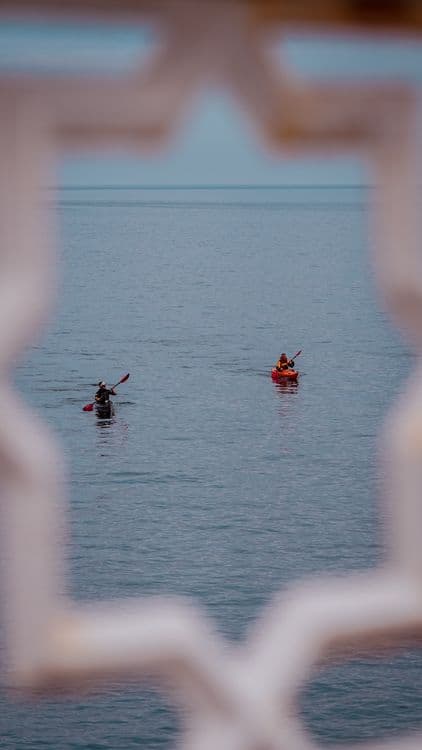 Mashpee: Paddle Board & Kayak Rentals