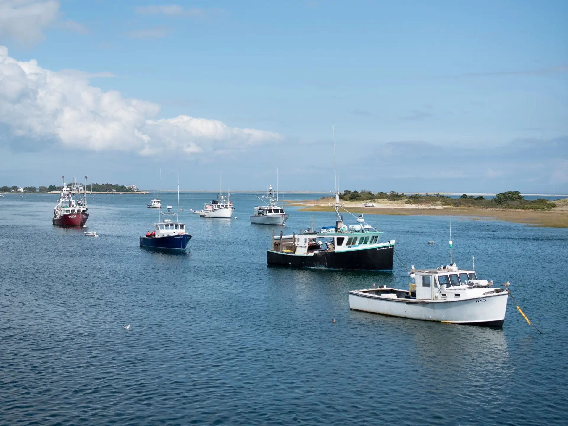 Chatham Walking Food Tour