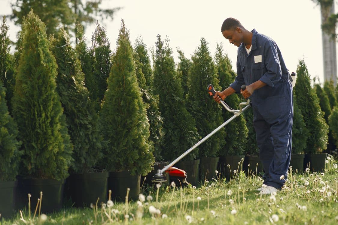 Cape Cod Landscaping This Summer: Water Bans, Nitrogen Rules, Tick Season & Why You Should Book Fall Now