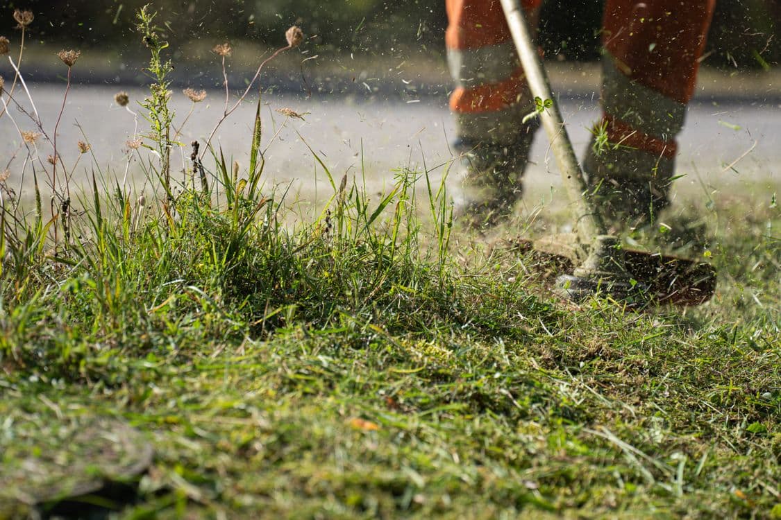 Cape Cod Landscaping & Lawn Care Pros: 2026 MA Regulatory & Code Update
