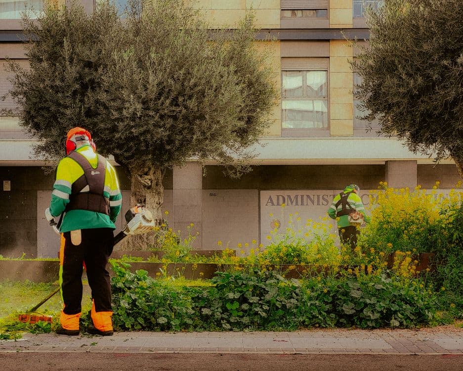 The Cape Cod Landscaping Pro's Playbook for Efficiency and Profit Margin