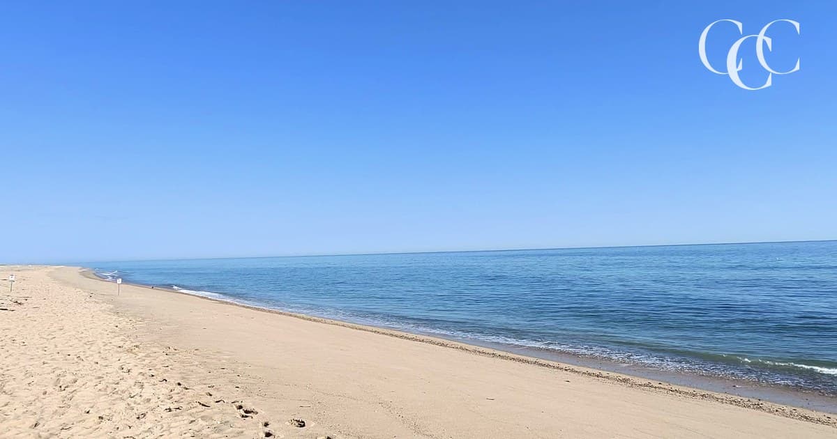 Head of the Meadow Beach landscape