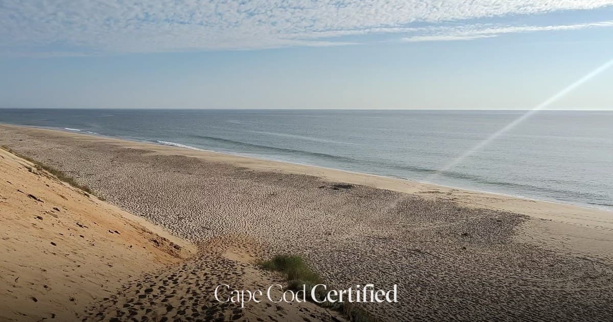 LeCount Hollow Beach (Maguire Landing) landscape