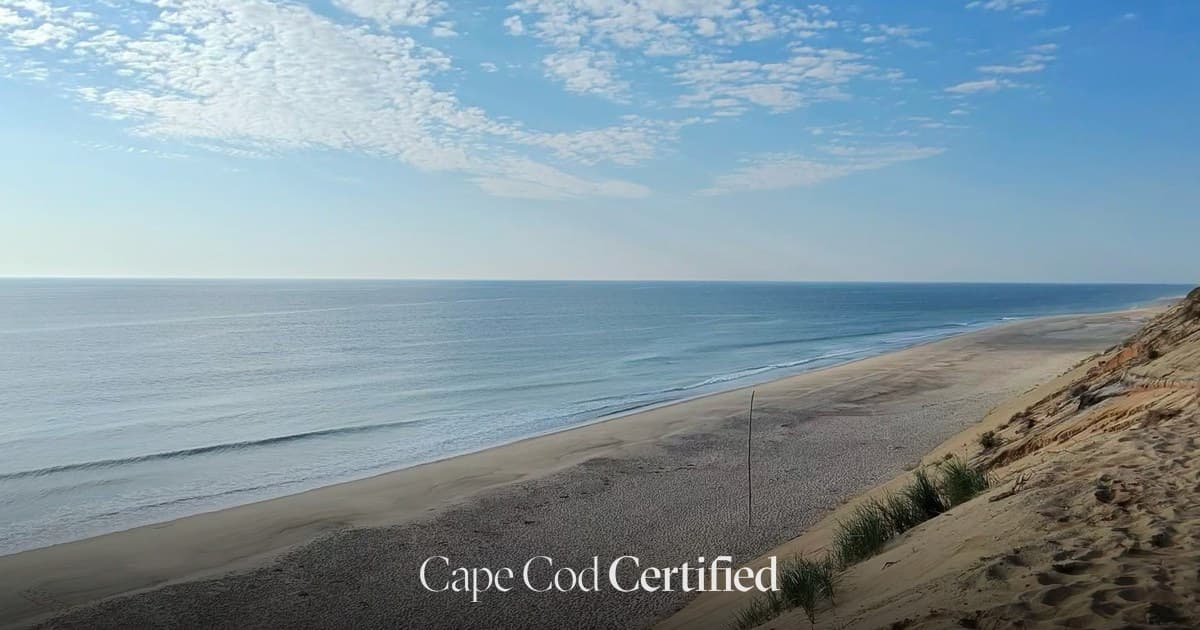 White Crest Beach landscape