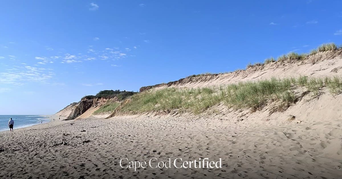 Newcomb Hollow Beach landscape
