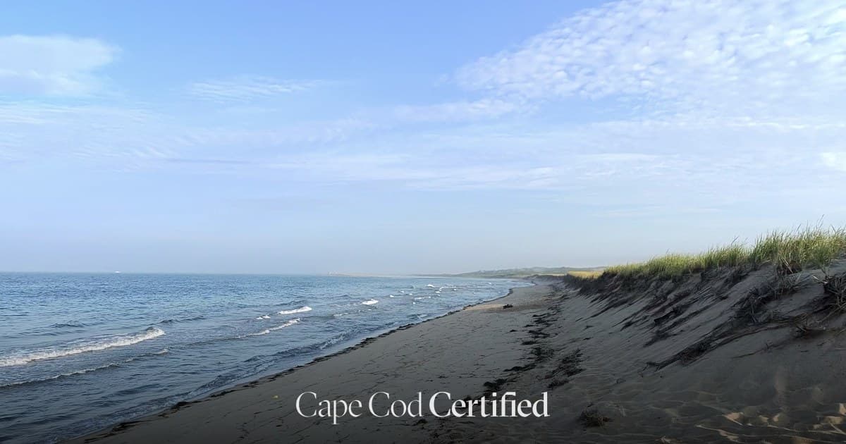 Herring Cove Beach landscape