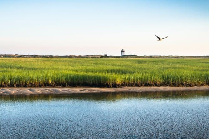 Mayflower Excursions National Seashore Tour