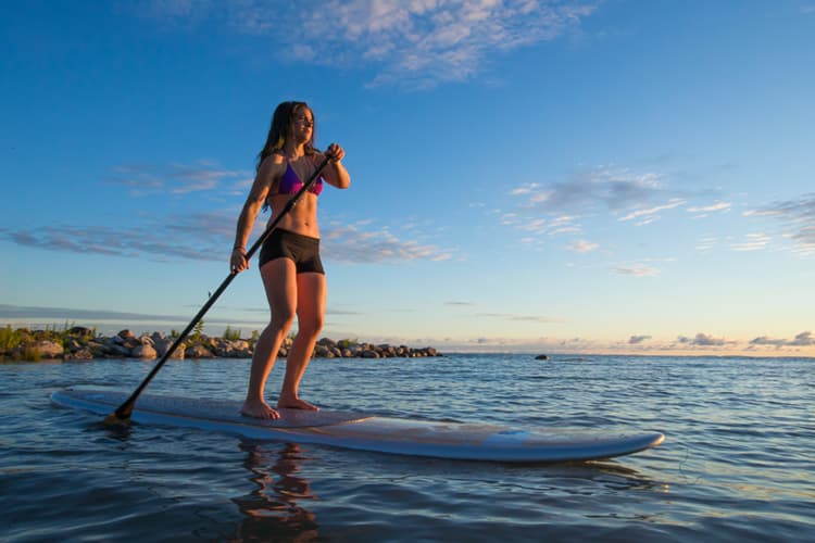 Kayak & SUP Rentals + Bass River Tour