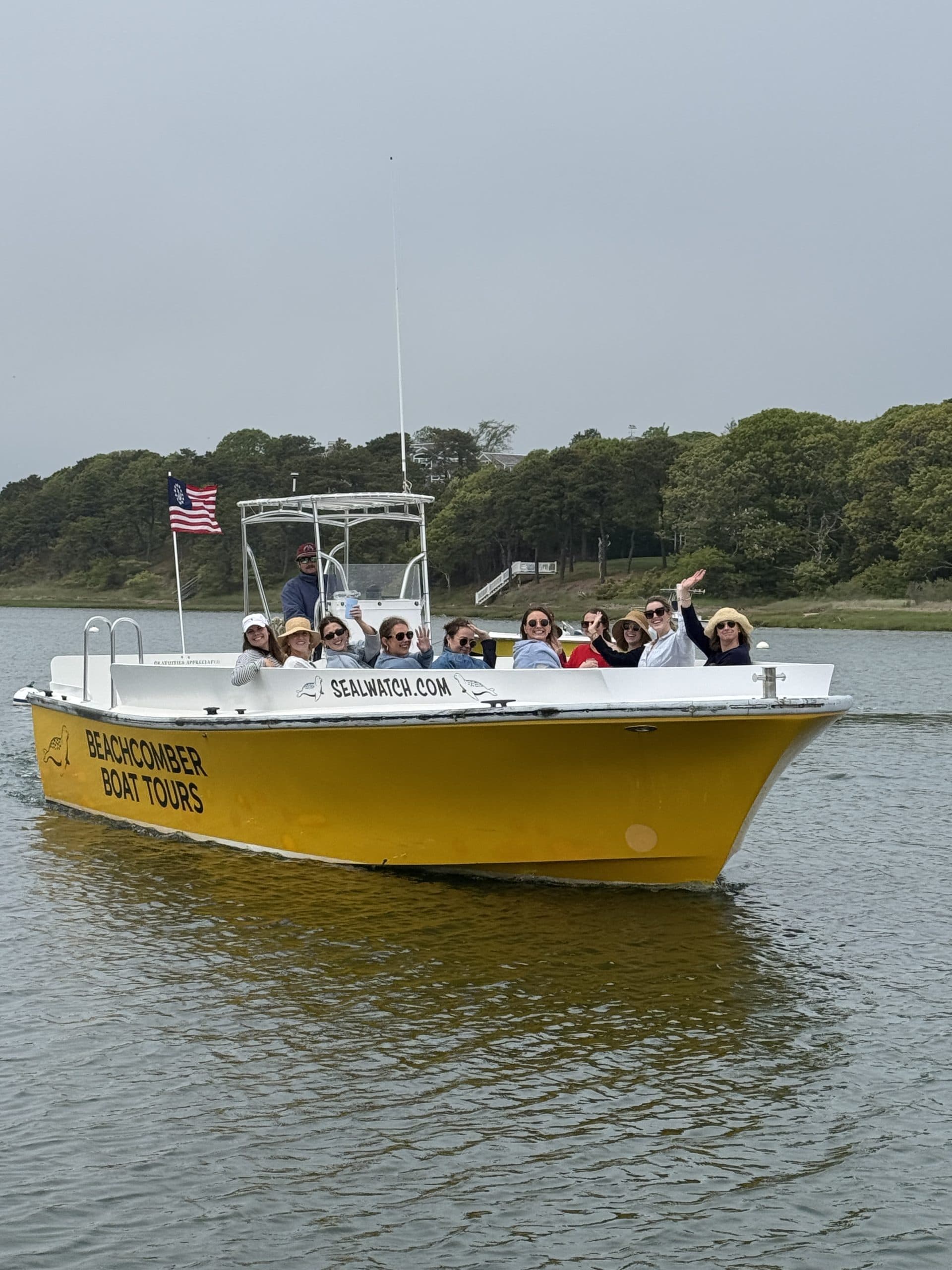 Chatham Harbor Seal Tour