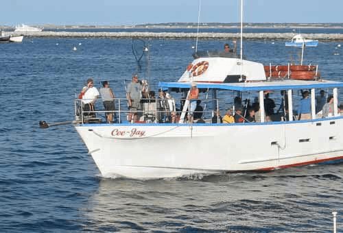 Cee Jay Party Boat Fishing