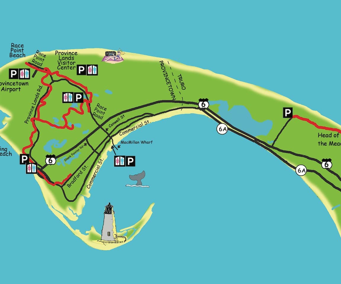 Cape Cod Rail Trail Bike Rentals