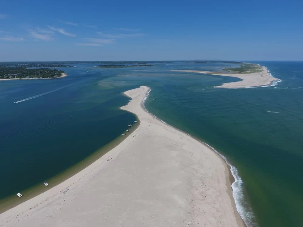 East Orleans Private Harbor & Seal Tour