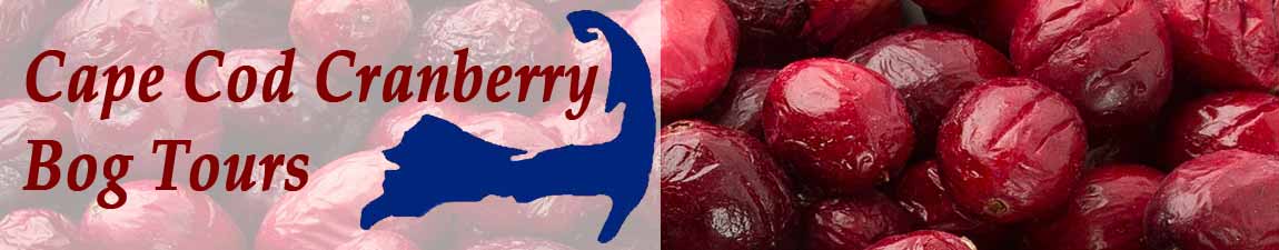 Cape Cod Cranberry Bog Tours