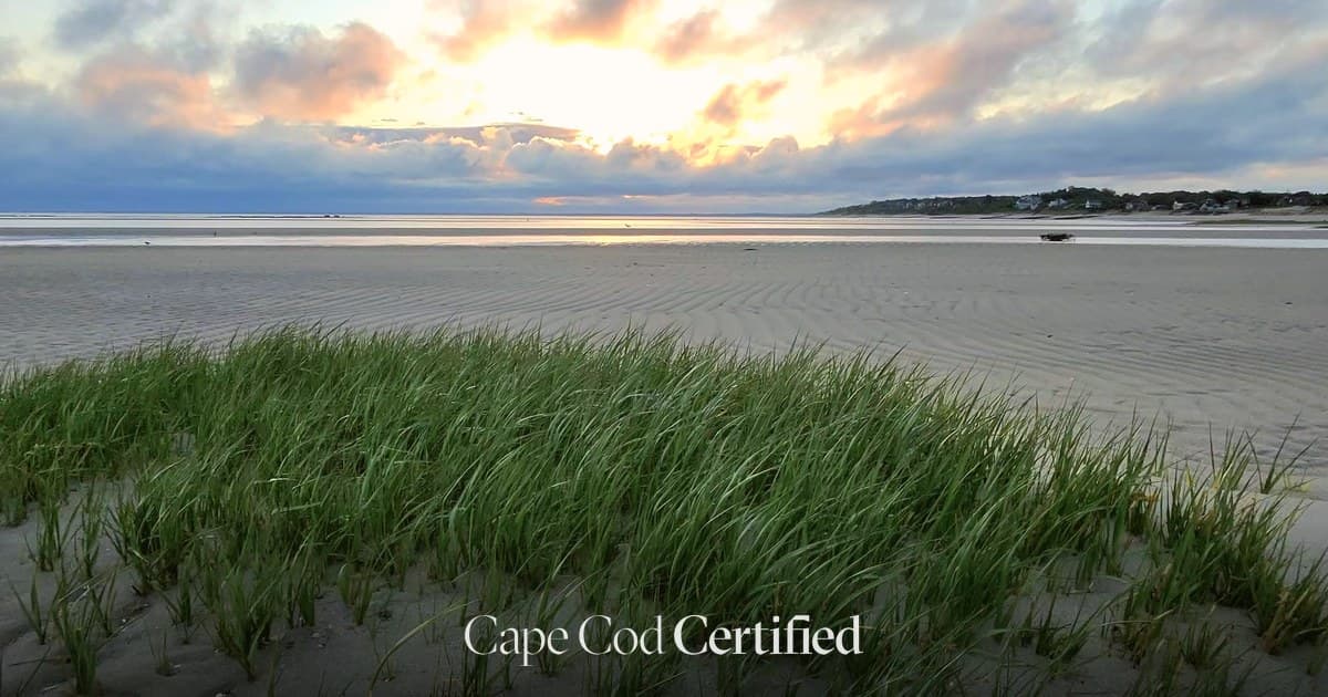 The Complete Guide to Buying a Cape Cod Vacation Home