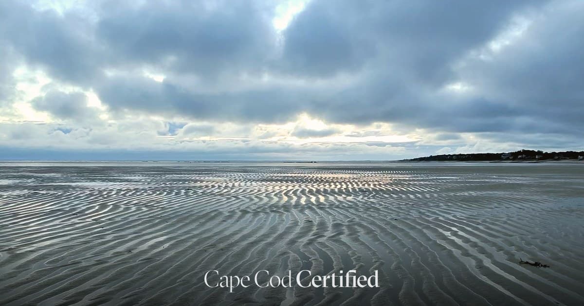 Cape Cod Short-Term Rental Investment Guide: What to Know Before You Buy