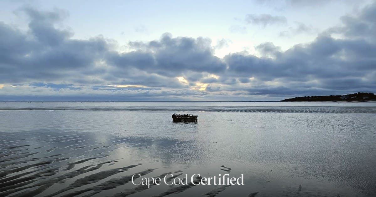 Best Cape Cod Towns for a Second Home: A Real Buyer's Guide